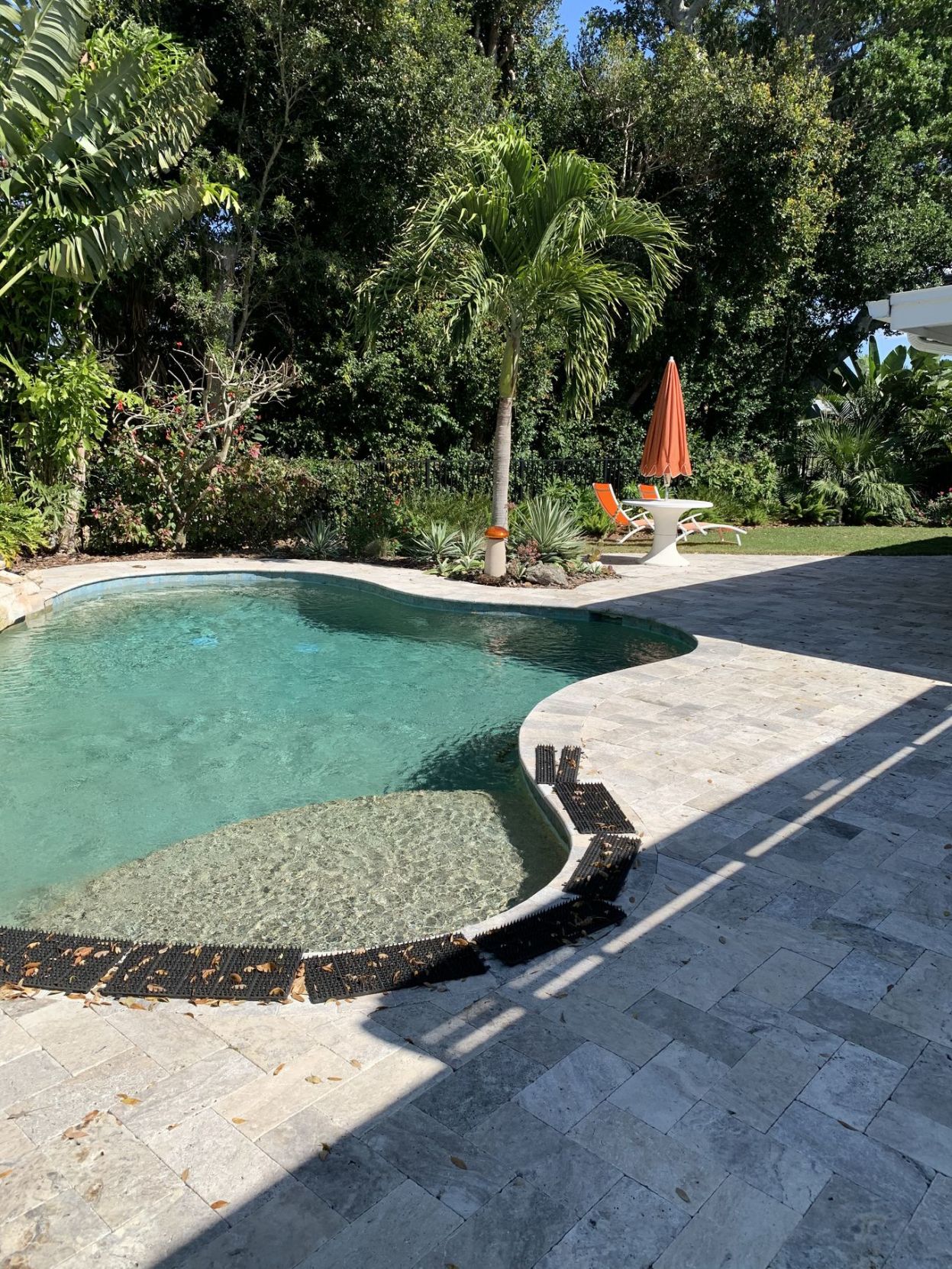 Cageless pool adds tropical touch